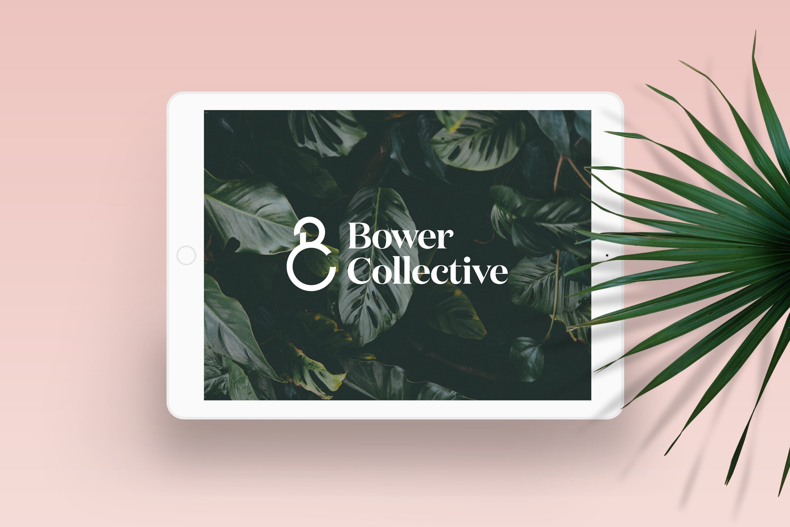 Bower Collective referral offer