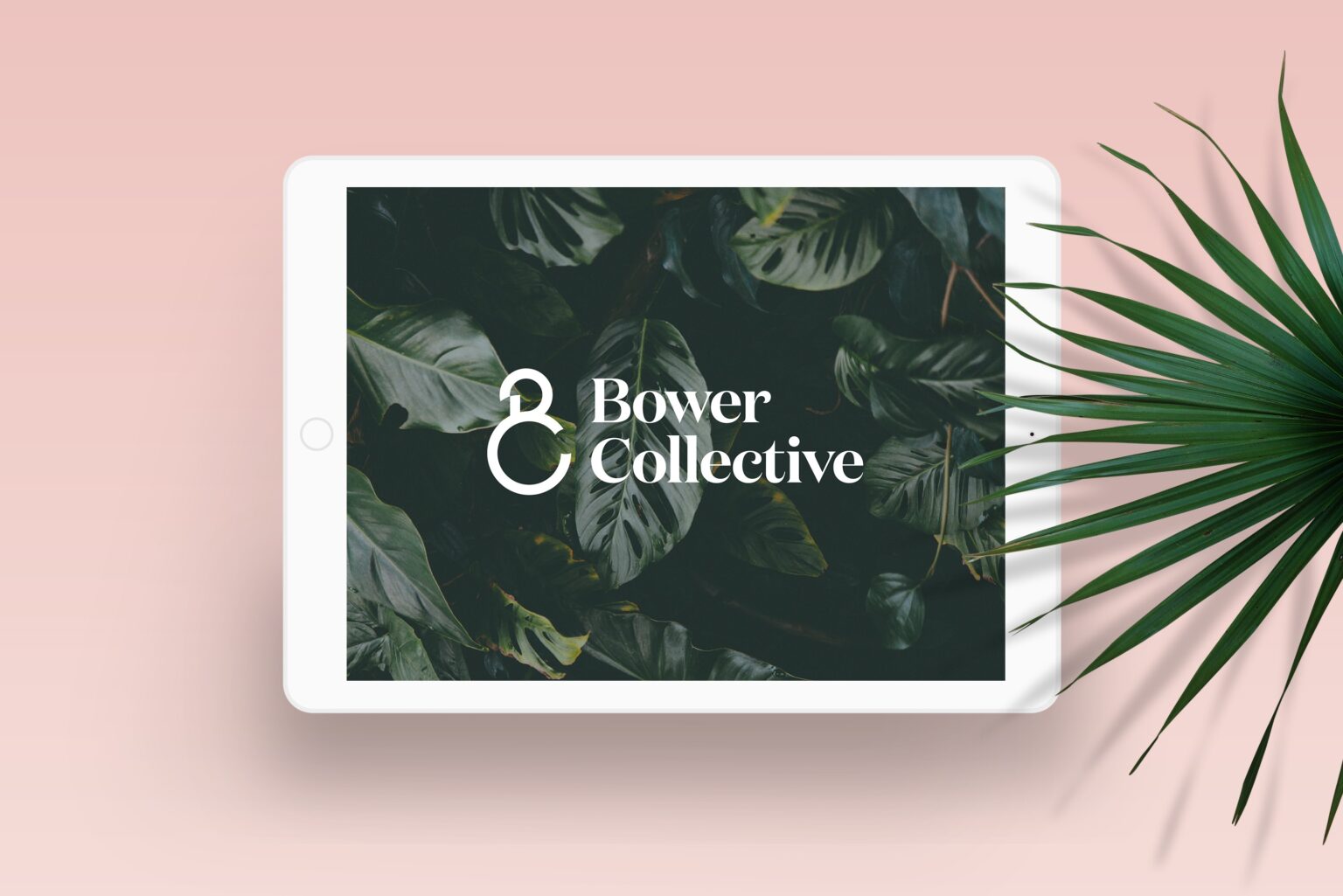 Bower Collective Referral Code