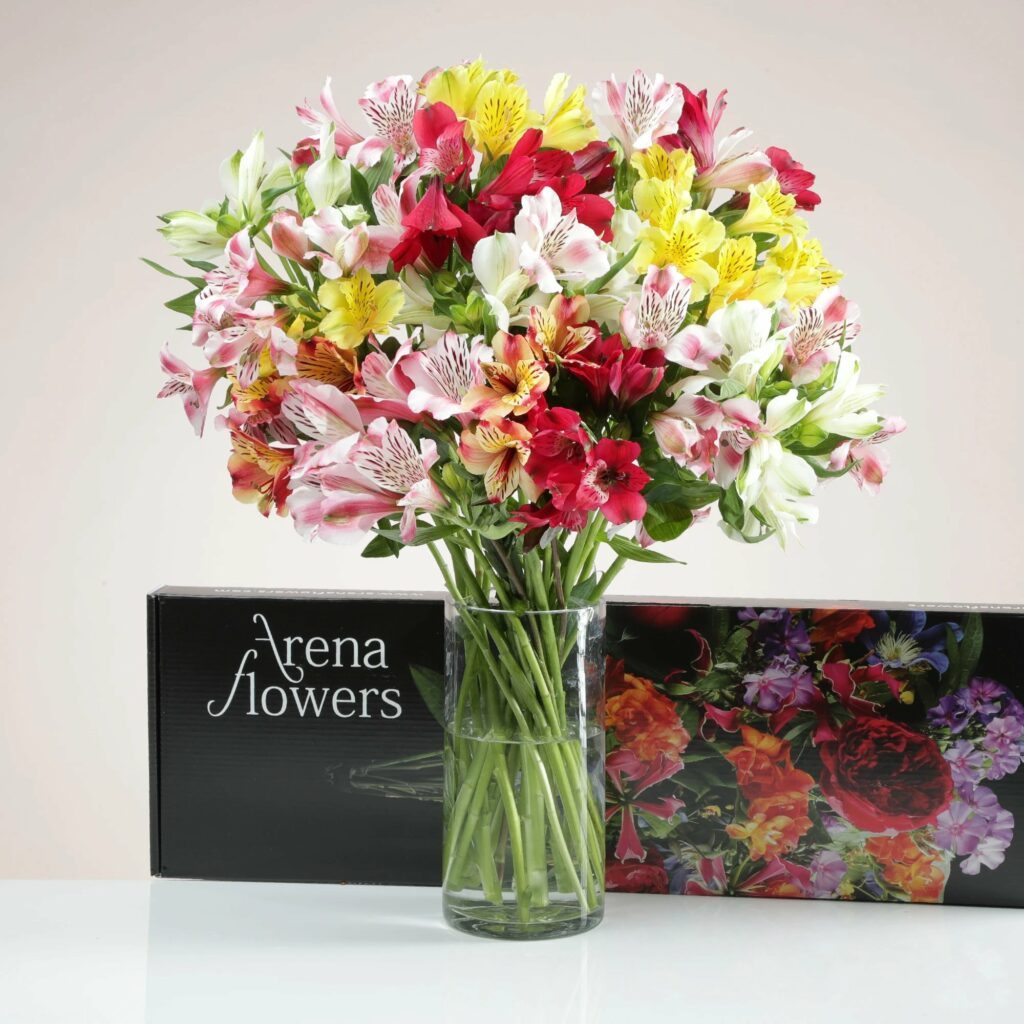 arena flowers referral subscription